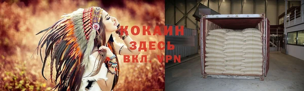 шишки Дмитровск