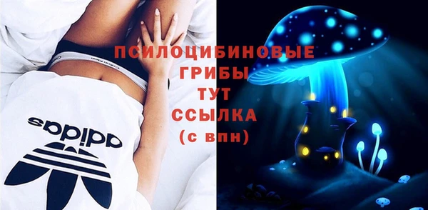 прущая мука Гусь-Хрустальный