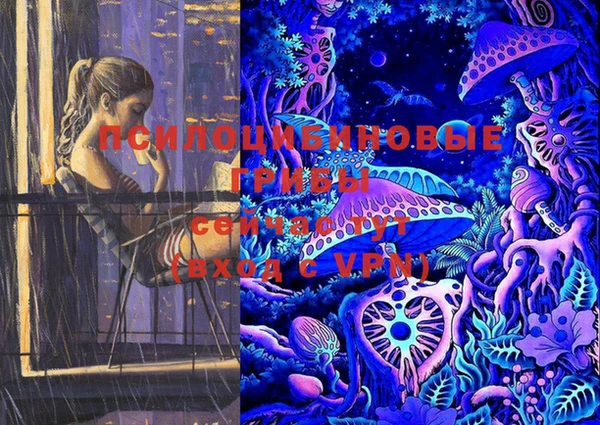 шишки Дмитровск