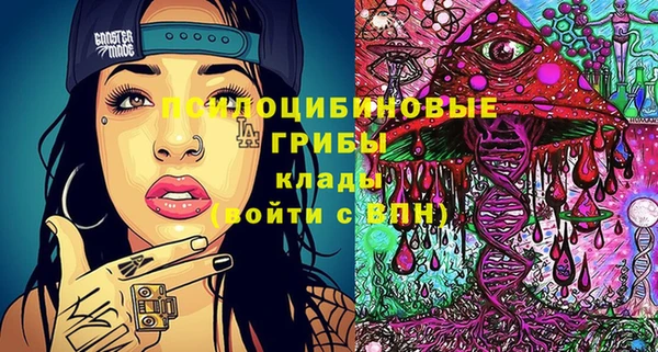 прущая мука Дмитриев