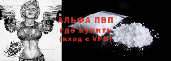 прущая мука Дмитриев
