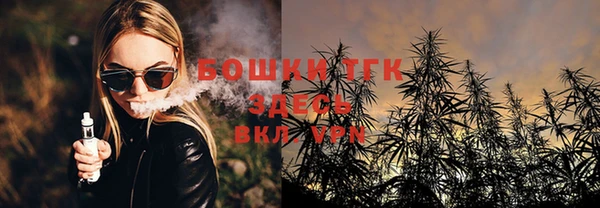 амф Гусиноозёрск