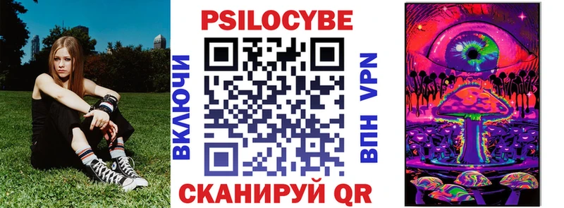 Купить  Тутаев  Псилоцибиновые грибы прущие грибы 